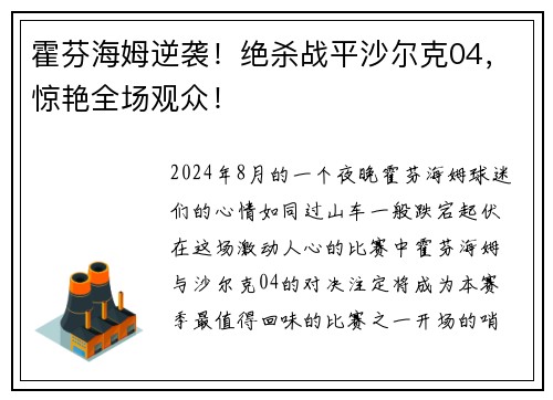 霍芬海姆逆袭！绝杀战平沙尔克04，惊艳全场观众！