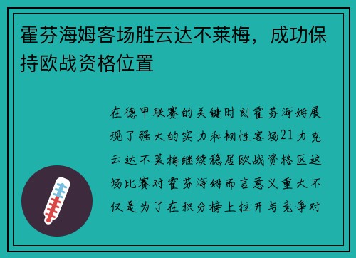 霍芬海姆客场胜云达不莱梅，成功保持欧战资格位置